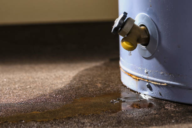 Best Professional water damage repair  in Riverview, MO