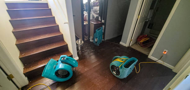 Best Mold removal after water damage  in Riverview, MO