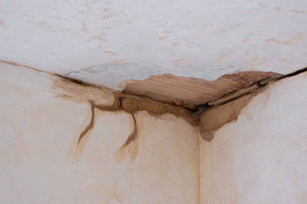 Best Water damage restoration insurance claims  in Riverview, MO