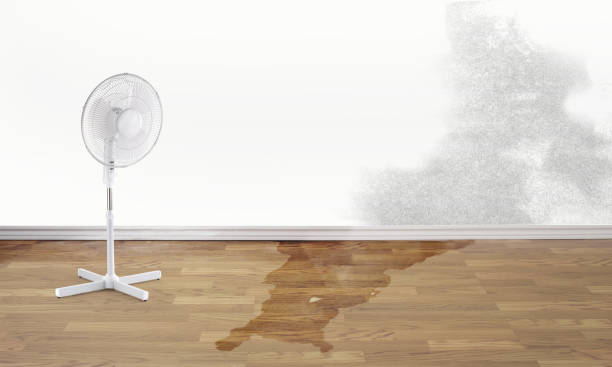 Best Sewage cleanup and water damage restoration  in Riverview, MO