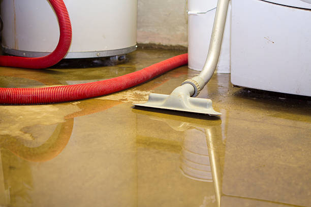 Best Basement water damage restoration  in Riverview, MO