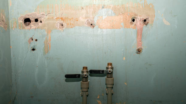 Best Water damage restoration near me  in Riverview, MO