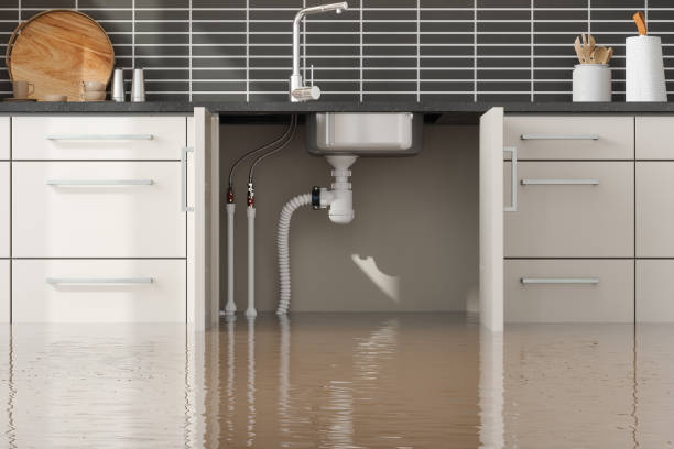Best Flood restoration services  in Riverview, MO