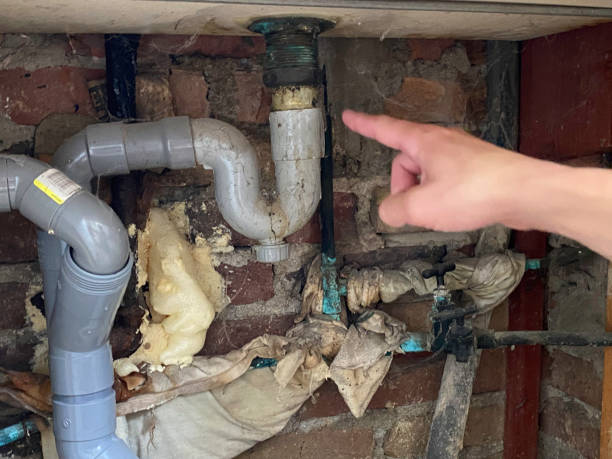 Best Local water damage restoration  in Riverview, MO