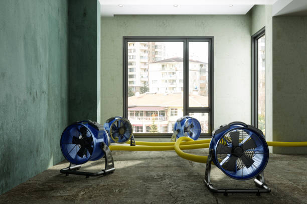 Best Fire Damage Restoration  in Riverview, MO