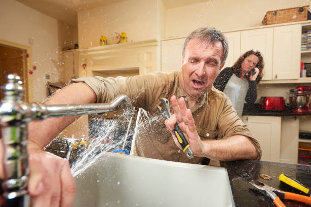 Best Flood damage cleanup  in Riverview, MO